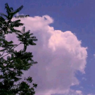 kok在线官网入口